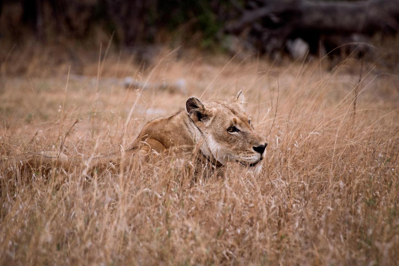 Tshukudu Game Lodge Hoedspruit Luaran gambar